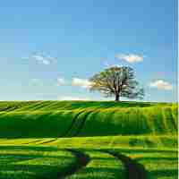 自‍动﻿搜‍索‍神‍器‍